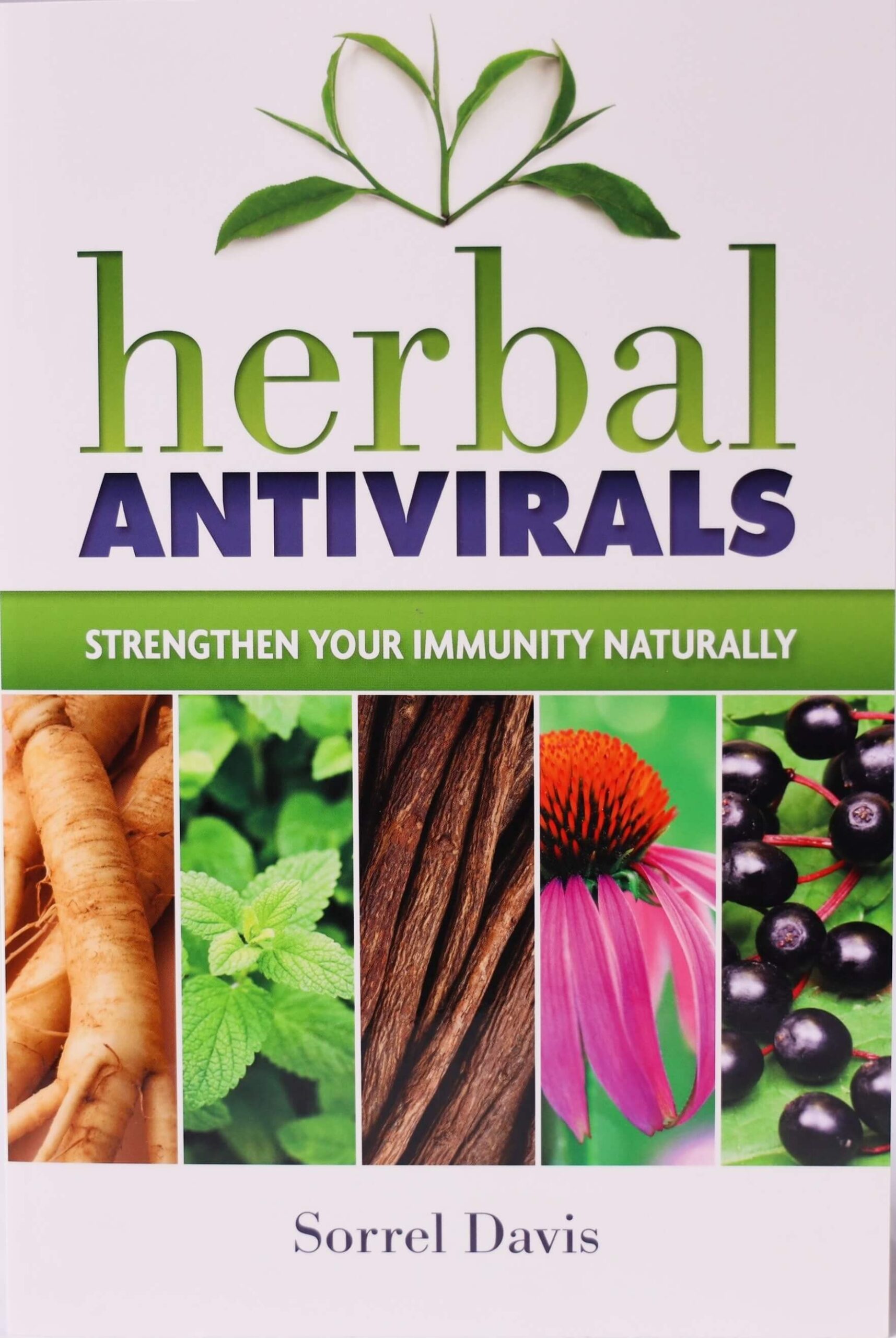 herbal antivirals sorrel davis herbal antivirals sorrel davis
