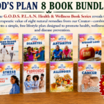 god's plan 8 book bundle