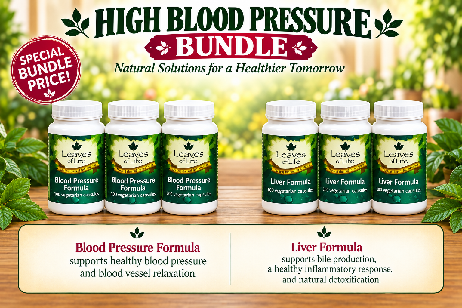 high blood pressure bundle no book rev (1) high blood pressure bundle no book rev (1)